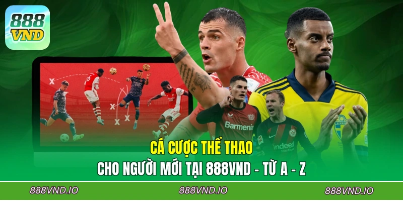 Cá Cược Thể Thao Cho Người Mới Tại 888VND - Từ A - Z