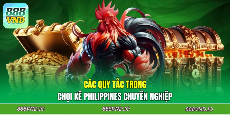 Các quy tắc trong chọi kê Philippines chuyên nghiệp