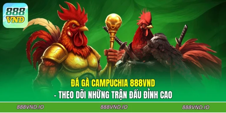 Đá Gà Campuchia 888VND - Theo Dõi Những Trận Đấu Đỉnh Cao