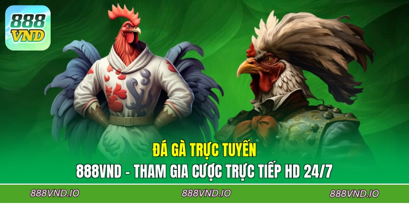 Đá Gà Trực Tuyến 888VND - Tham Gia Cược Trực Tiếp HD 24/7