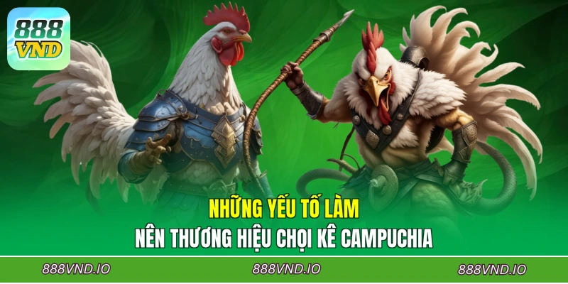 Những yếu tố làm nên thương hiệu chọi kê Campuchia