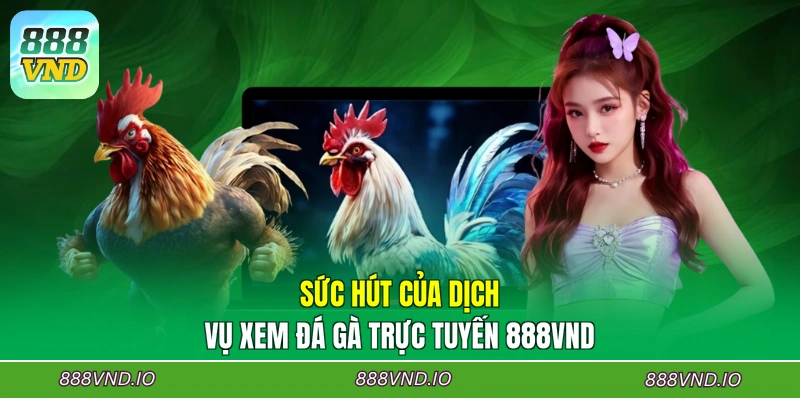 Sức hút của dịch vụ xem đá gà trực tuyến 888VND